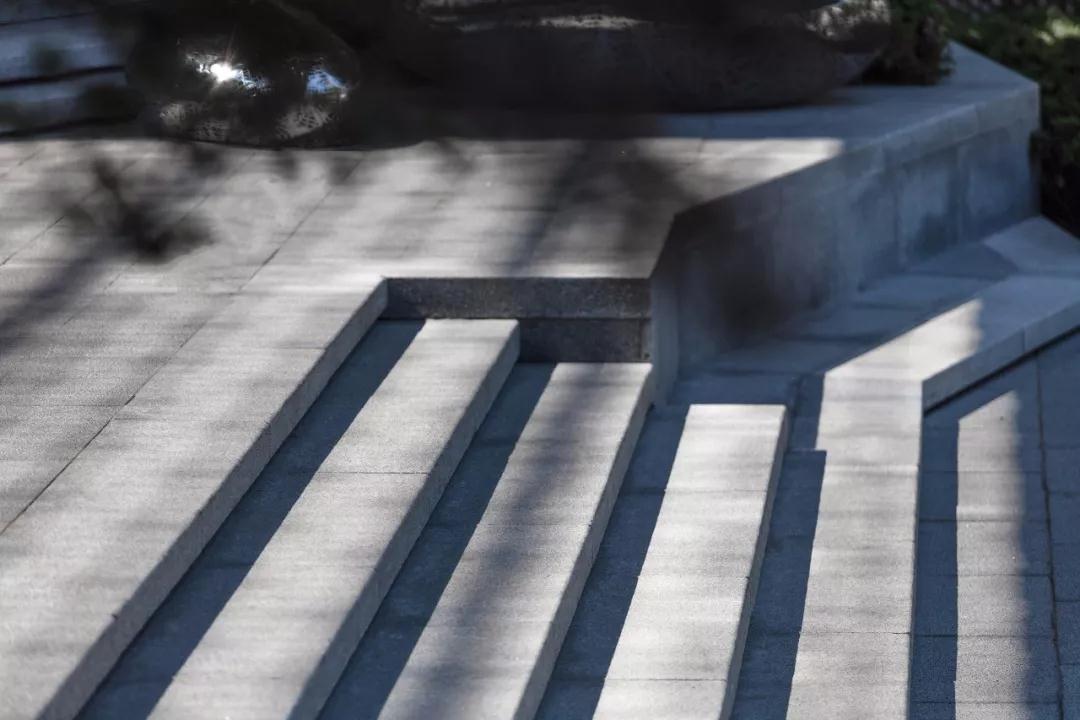 有的魚是永遠都關(guān)不住的 | 公元2040