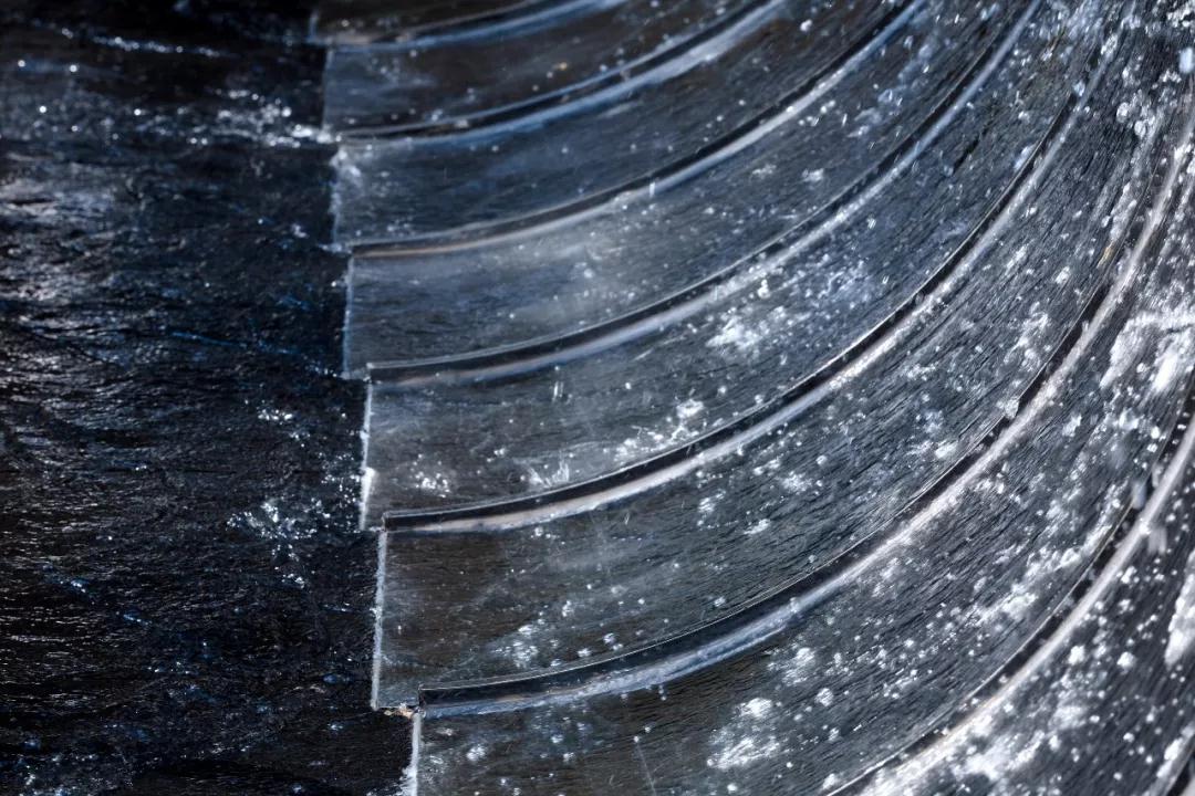 有的魚是永遠都關(guān)不住的 | 公元2040