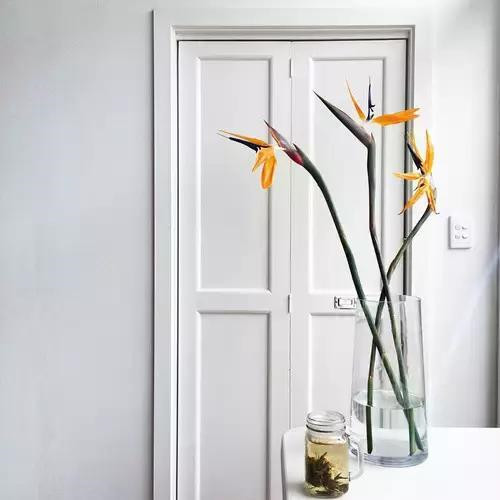 插花入瓶,生活在野