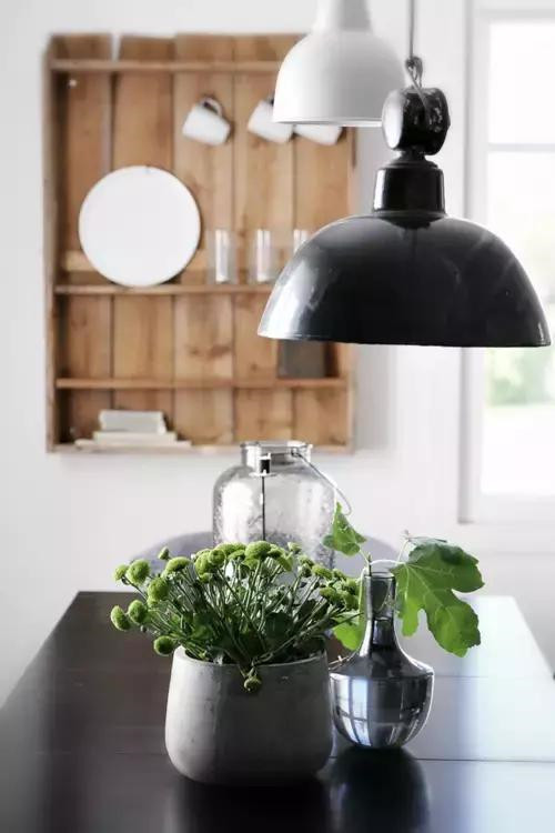 插花入瓶,生活在野