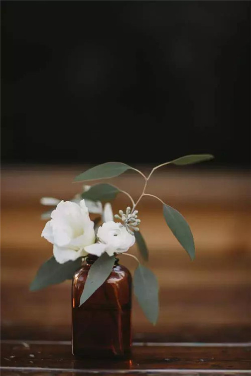 插花入瓶,生活在野