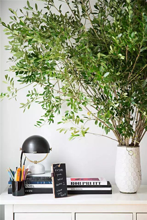 插花入瓶,生活在野