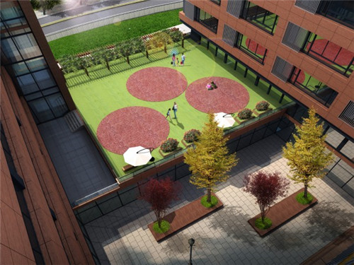 西海岸學(xué)校屋頂花園明年增至10個(gè)