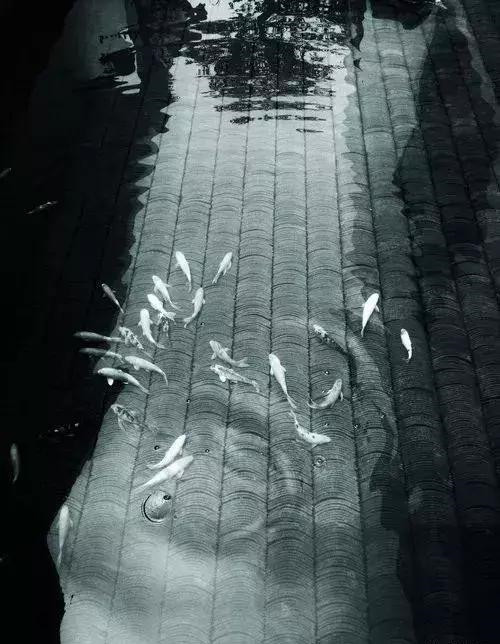 8種庭院水景，想不擁有都不行