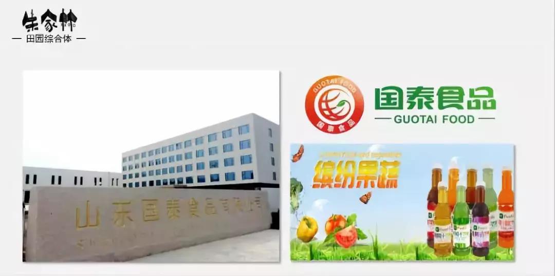 山東朱家林國家級田園綜合體規(guī)劃方案