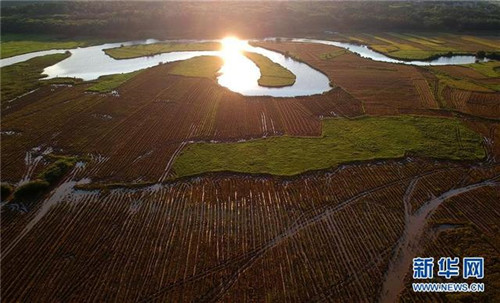 海口:濕地入城美如畫