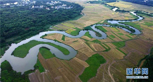 海口：濕地入城美如畫