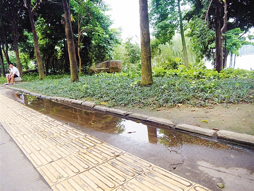 南寧:城市海綿化改造打造人水和諧新景