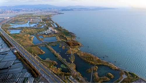 清控人居王欣訪談:做有生命的景觀