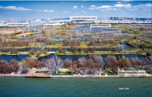 清控人居王欣訪談:做有生命的景觀