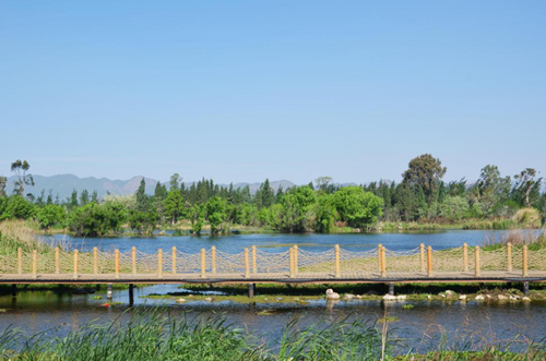 清控人居王欣訪談:做有生命的景觀