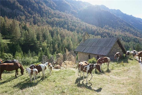 自然保護(hù)區(qū)里的“怪獸”