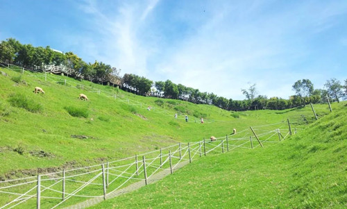 號稱小瑞士 臺灣清境農場規劃及盈利模式