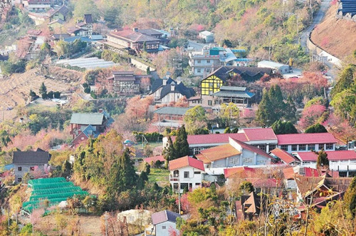 號稱小瑞士 臺灣清境農場規劃及盈利模式