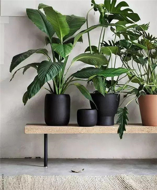 這樣插花,即使花謝了屋子依然會很美