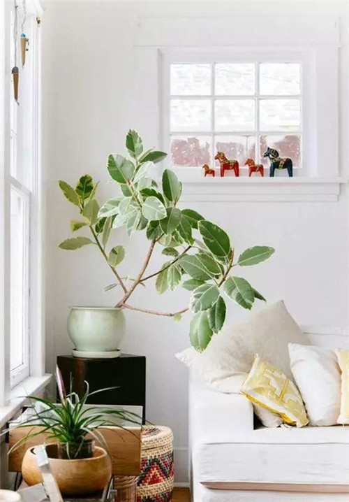 這樣插花,即使花謝了屋子依然會很美