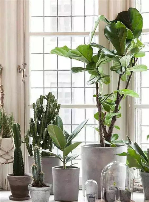 這樣插花,即使花謝了屋子依然會很美