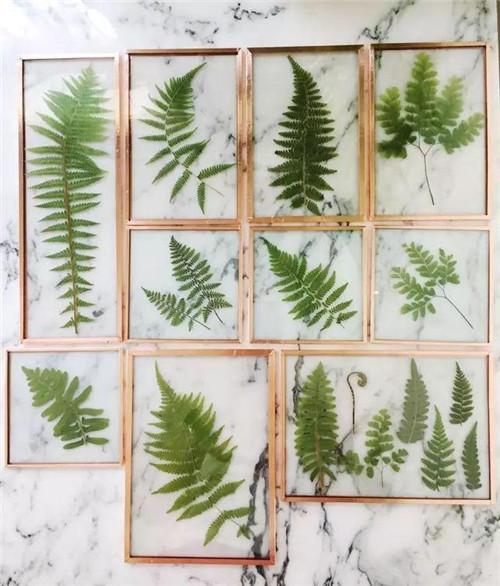 這樣插花,即使花謝了屋子依然會很美