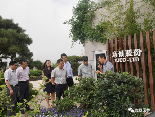 西安宣傳部領導到意景園林調研文化產業發展