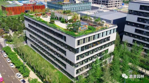 西安宣傳部領導到意景園林調研文化產業發展