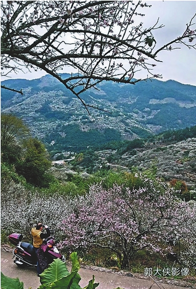 美麗鄉村建設如何避免“跑偏”