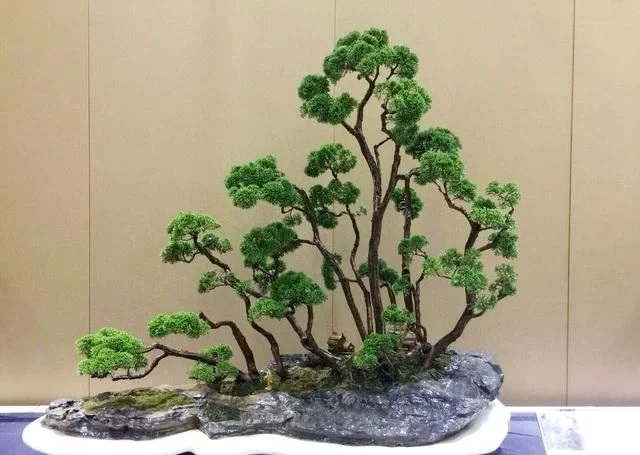 這些怪樁做成的盆景,隨便一盆都能換套房