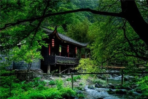 湖南一被人遺忘的國家級森林公園