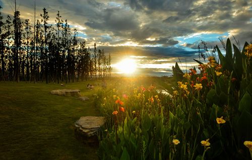 北京清控人居研究院兩項(xiàng)目獲IFLA AAPME獎(jiǎng)