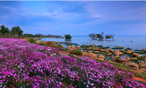 北京清控人居研究院兩項(xiàng)目獲IFLA AAPME獎(jiǎng)