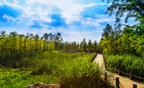 北京清控人居研究院兩項(xiàng)目獲IFLA AAPME獎(jiǎng)