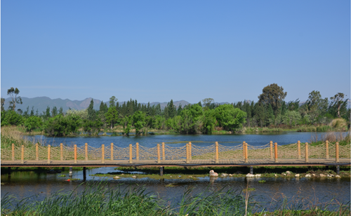 北京清控人居研究院兩項(xiàng)目獲IFLA AAPME獎(jiǎng)