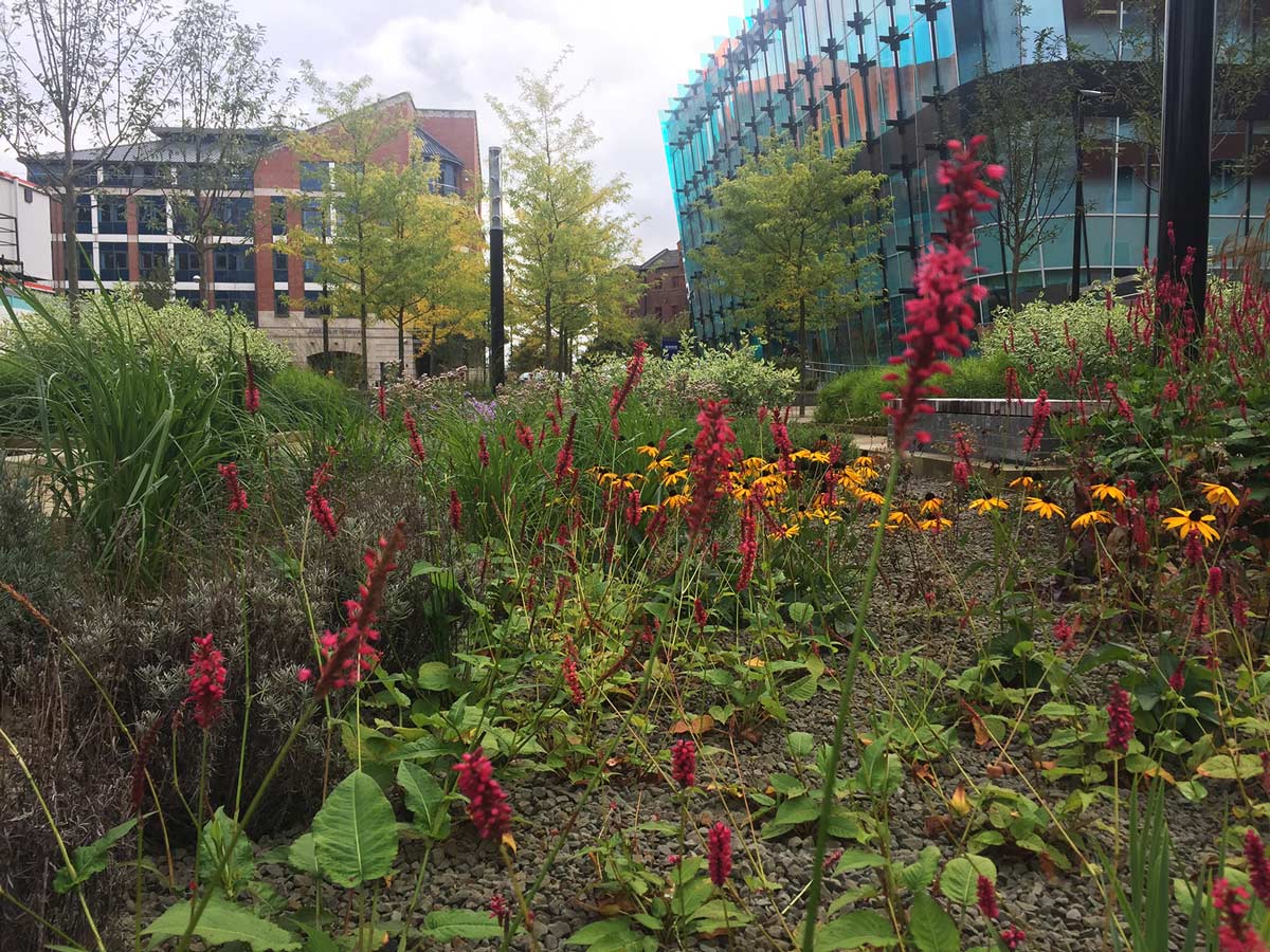 君主廣場——將自然引入城市中心區