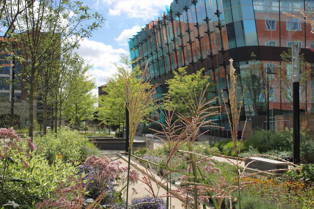 君主廣場——將自然引入城市中心區