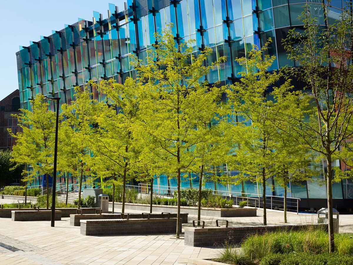 君主廣場——將自然引入城市中心區