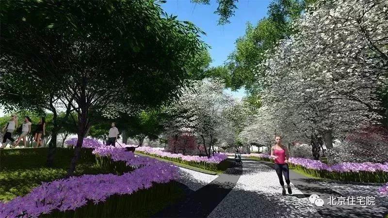 BRDR-筑作 | 一條綠色生態紐帶讓"千年古城"與"百里長街"完美融合!