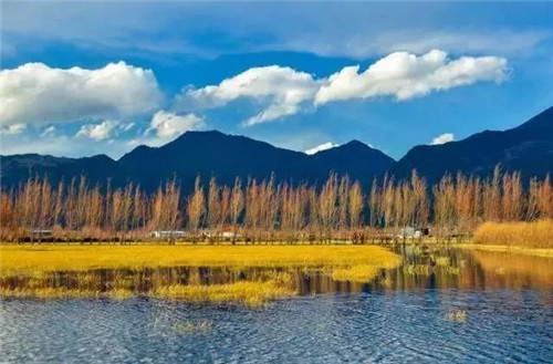 云南省第一個(gè)以濕地命名的保護(hù)區(qū)