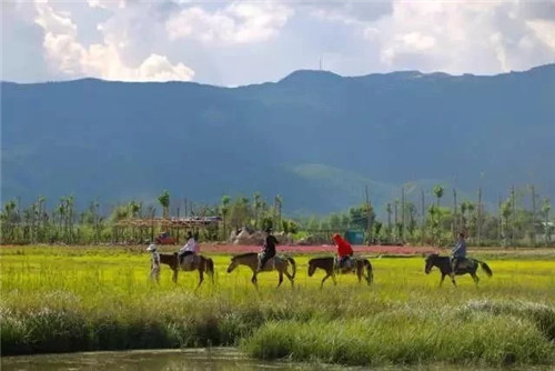 云南省第一個(gè)以濕地命名的保護(hù)區(qū)