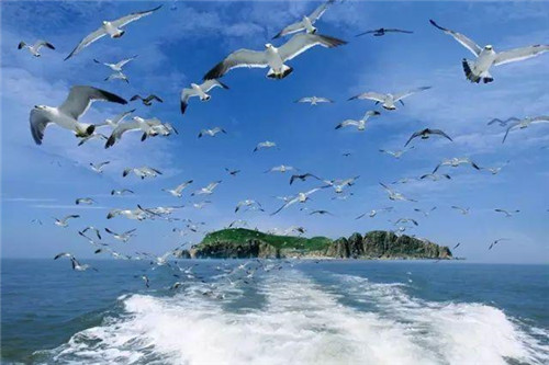 六月,青島人免費的五大城市景點