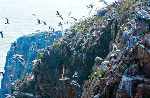 六月,青島人免費的五大城市景點