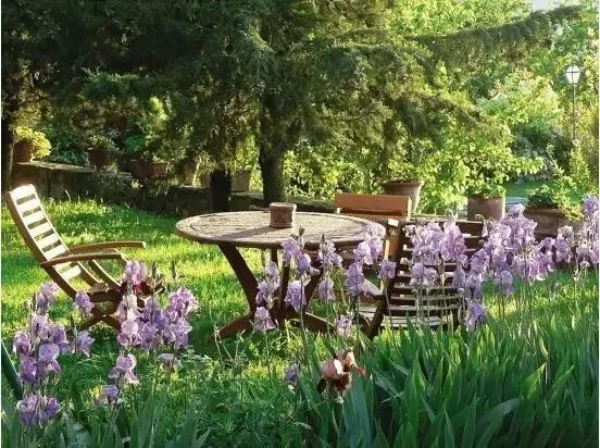 養老院的康復性景觀設計需要注意什么？