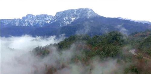 全國最大的森林公園有座世界最大的桌山