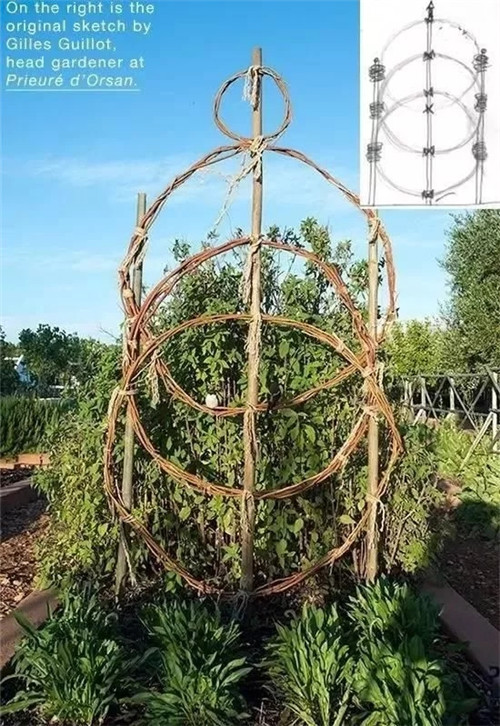 用樹枝與藤蔓，編織的庭院景觀雕塑