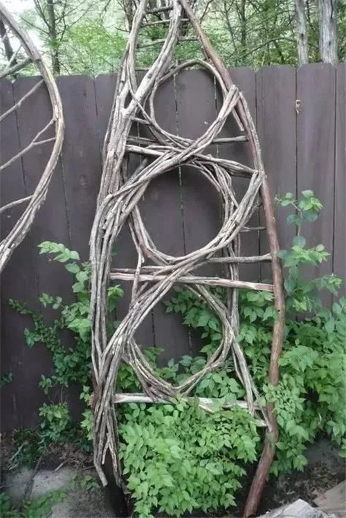 用樹枝與藤蔓，編織的庭院景觀雕塑
