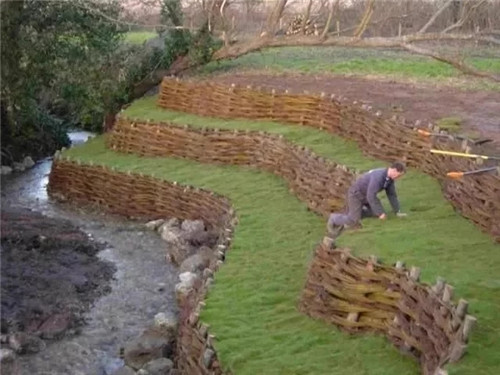 用樹枝與藤蔓，編織的庭院景觀雕塑