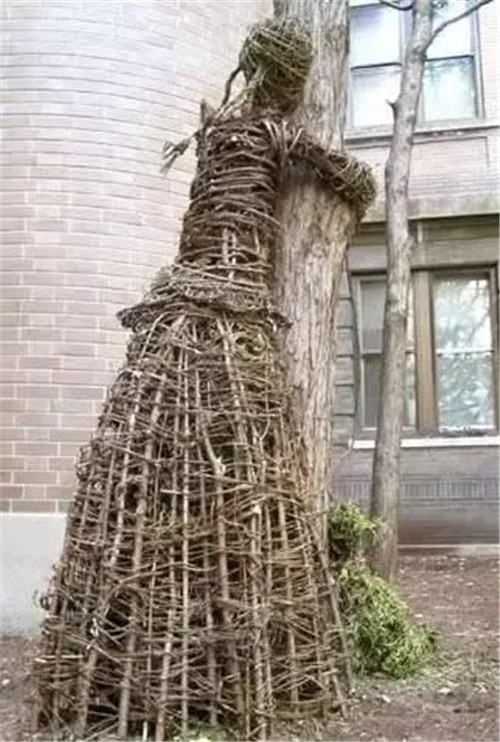 用樹枝與藤蔓，編織的庭院景觀雕塑