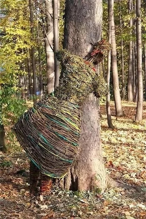 用樹枝與藤蔓，編織的庭院景觀雕塑