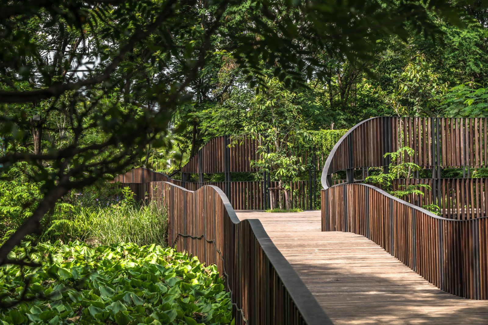 連接城市空間的和諧形式——“飛虹橋”景觀設計方案