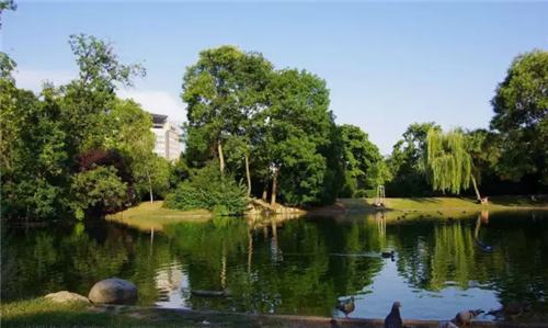 城市公園作為公共空間，如何展現城市魅力