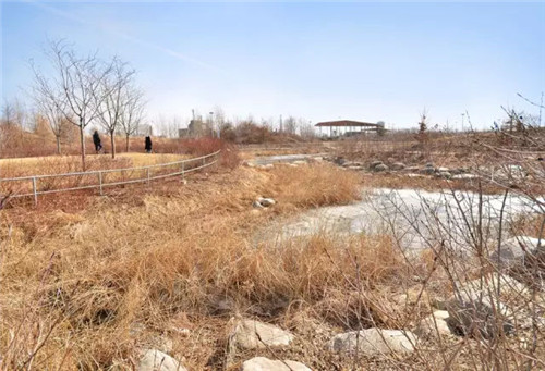 城市公園作為公共空間，如何展現城市魅力