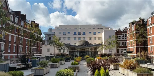 城市公園作為公共空間，如何展現城市魅力